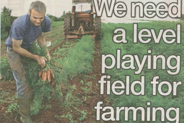 An image featuring farming fields, tractors, livestock, and Brexit graphics, with the headline “We Need a Level Playing Field for Farming” embossed over related graphics.