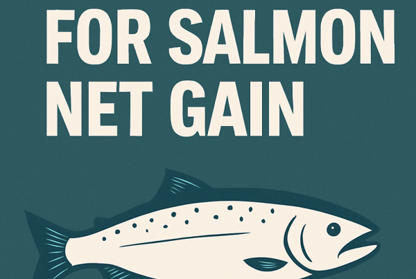 Bold white text reading “ISLE HOPE FOR SALMON NET GAIN” appears above a minimalist illustration of a salmon on a teal background.