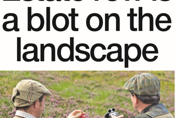 A Scottish Highlands estate divided by fencing and rewilded woodland on one side and traditional gamekeeping on the other; silhouettes of deer, saplings, and tweed-clad figures present.