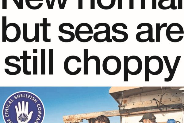 Shaf Rasul with the headline “New Normal but Seas Are Still Choppy” beside a visual of a closed shop sign, fishing boat in stormy waters, and a broken supply chain graphic.