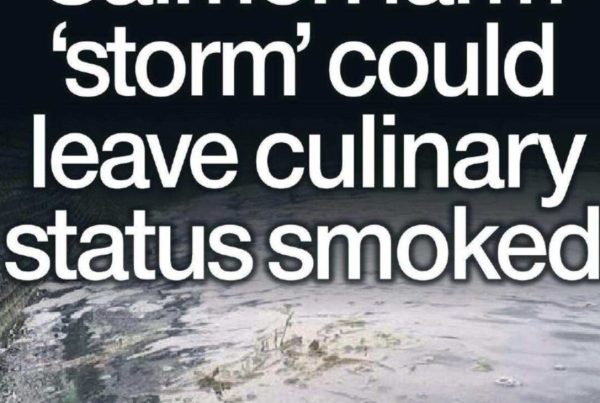 Banner with the headline “Salmon farm 'storm' could leave culinary status smoked” over a moody image of a salmon farm at sea, contrasted with a supermarket shelf labelled “Scottish Salmon”.