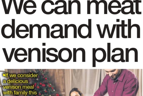 A stylised image of venison steak plated on a rustic wooden table, with the bold headline “We can meat demand with venison plan” overlaid, alongside subtle graphics of deer antlers and supply chain icons.