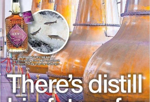 Copper pThere’s distill big future for key industries