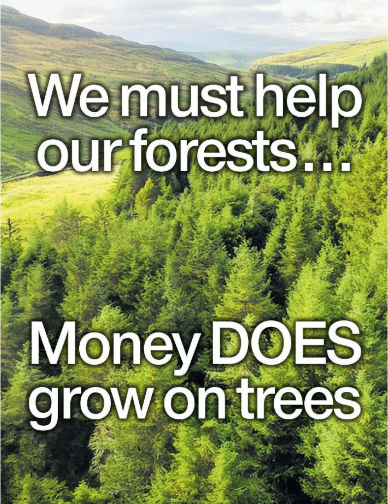 Aerial view of dense Scottish forest and hills, with large white headline text reading “We must help our forests... Money DOES grow on trees”